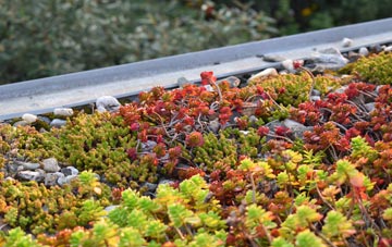 the cost of Kingston Russell green roof installation