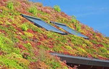 Kingston Russell living roof systems