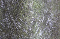 Kingston Russell fibreglass roof work